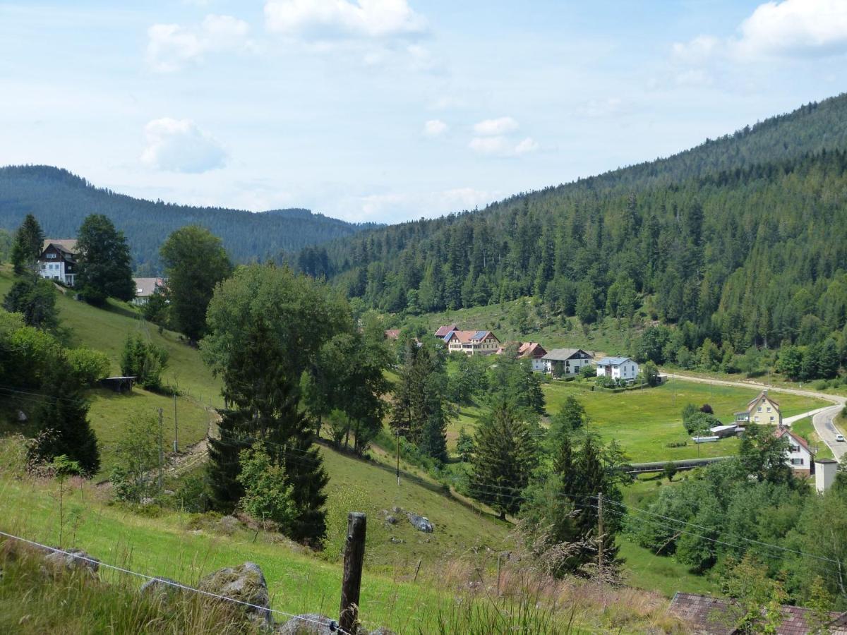 Ferienwohnung Haus Wiesengrund Forbach Extérieur photo