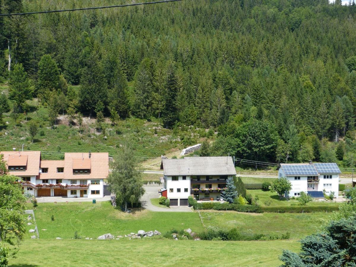 Ferienwohnung Haus Wiesengrund Forbach Extérieur photo